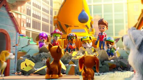 The PAW Patrol free the kidnapped dogs