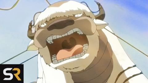 The Full History Of Appa In Avatar The Last Airbender