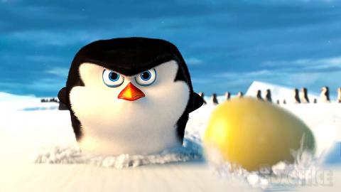 Baby Penguins save the egg | Penguins of Madagascar | CLIP