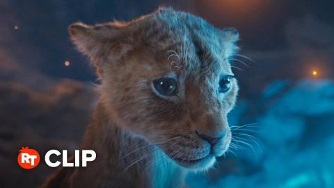 Mufasa: The Lion King Movie Clip - Who Are the Outsiders? (2024)