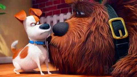 Max meets his BIG new roommate | The Secret Life of Pets | CLIP