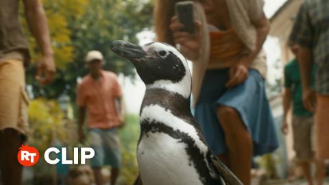 My Penguin Friend Exclusive Movie Clip - Dindim Visits the Village (2024)