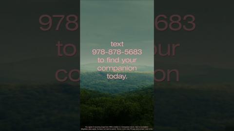 Dating is hard. #FindYourCompanion is easy. Text (978) 878-5683 to Find Your Companion today.*