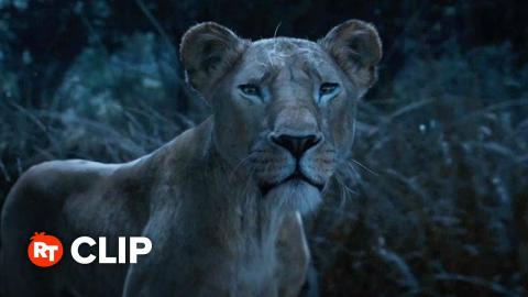 Mufasa: The Lion King Movie Clip - Why Are You Following Us? (2024)