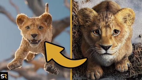 Mufasa: Cast & Character Guide