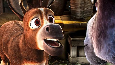 The Cute Donkey Escape | The Star | CLIP