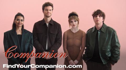 Companion | Find Someone Made Just For You