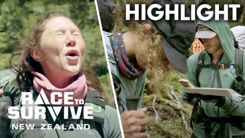 Adventure Athletes Are Off Course With No Time to Lose | Race To Survive: New Zealand (S2 E9) | USA