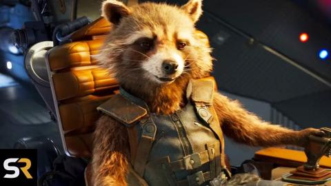 Rocket Raccoon's Future After Guardians of the Galaxy 3