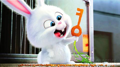 All the BEST Scenes from The Secret Life of Pets ???? 4K