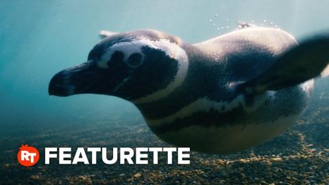 My Penguin Friend Featurette - A Penguin's POV (2024)