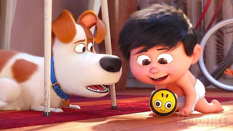 A dog and a baby learn to know each other ❤️ | The Secret Life of Pets 2 | CLIP