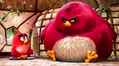 Funny Group Therapy | The Angry Birds Movie | CLIP