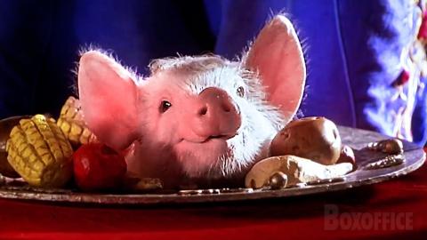 A Magic Act with a Little Pig | Babe: Pig in the City | CLIP