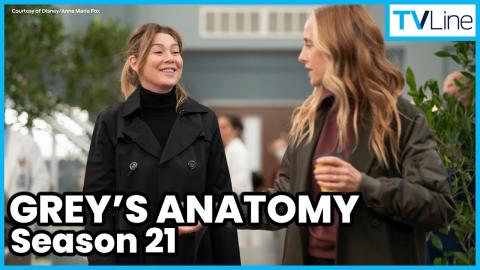 Grey’s Anatomy Season 21 Scoop!