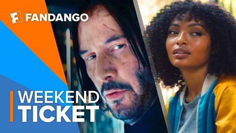 In Theaters Now: John Wick: Chapter 3, A Dog's Journey, The Sun Is Also a Star | Weekend Ticket