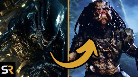 Alien VS Predator: Which Francise Reigns Supreme?