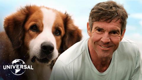 A Dog's Purpose | Bailey Returns to Ethan