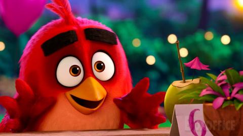 Angry bird in love with a chick | The Angry Birds Movie 2 | CLIP