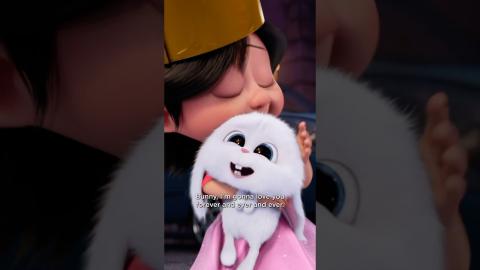 Not even Snowball can resist head scratches | ???? The Secret Life of Pets (2016)