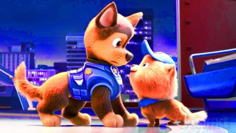 The Cutest Dogs from Paw Patrol 2 ???? 4K