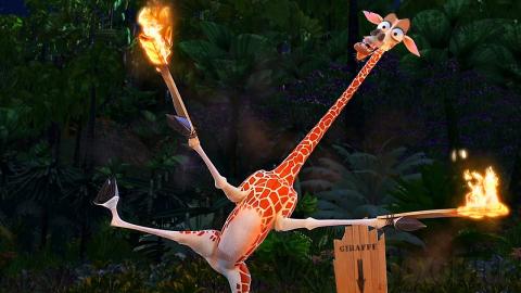 This Giraffe is on fire | Madagascar | CLIP