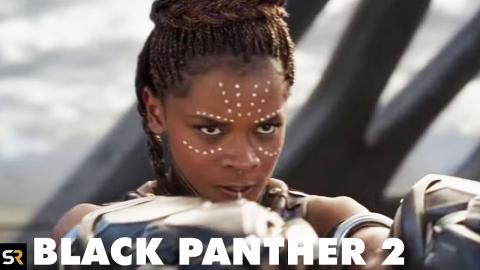 Black Panther 3: Every Returning Character