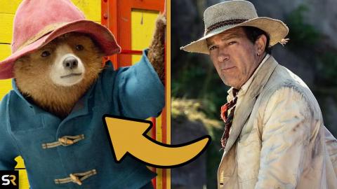 Paddington in Peru Cast & Character Guide