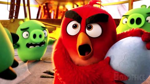 Daring Egg Theft | The Angry Birds Movie | CLIP