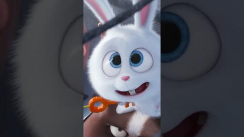 He’s so good at being bad | ???? The Secret Life of Pets (2016)