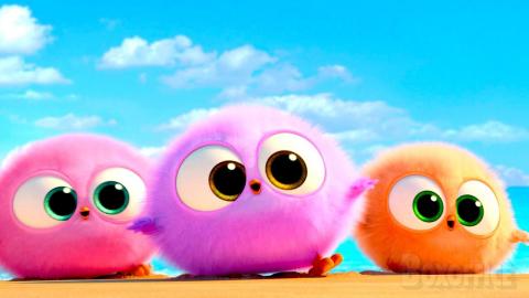 These Baby Birds are adorable ???? | The Angry Birds Movie 2 | CLIP