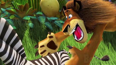 You just bite me on the butt | Madagascar | CLIP